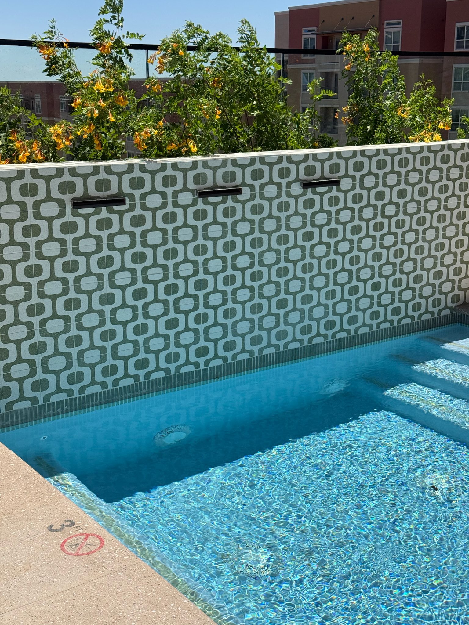 A small, clear blue pool with patterned green and white tiles on one wall, outdoor plants with yellow flowers behind the wall, and sunlight casting shadows across the water.